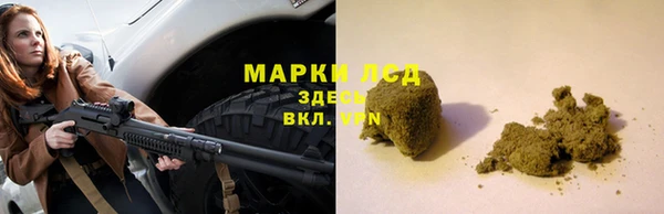 стаф Алексин