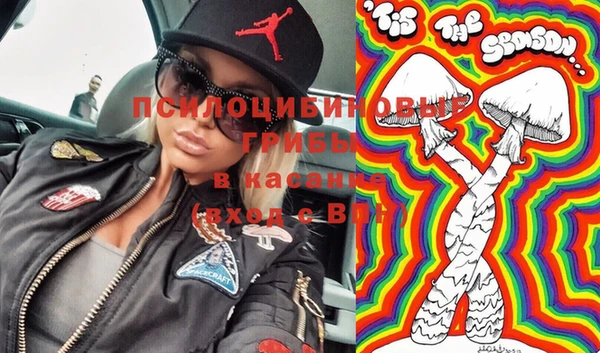прущие грибы Алексеевка