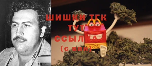 прущие грибы Алексеевка