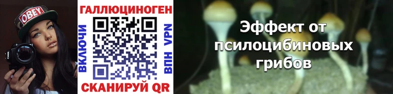 ОМГ ОМГ как зайти  Ленинск-Кузнецкий  Галлюциногенные грибы GOLDEN TEACHER  продажа наркотиков 