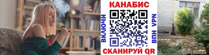 Бошки Шишки гибрид  Ленинск-Кузнецкий 